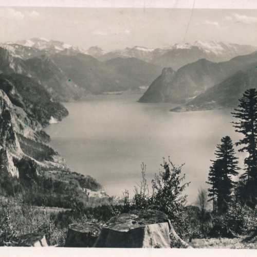 AK aus Gmunden der Traunsee Oberösterreich Ansichtskarte (15476)