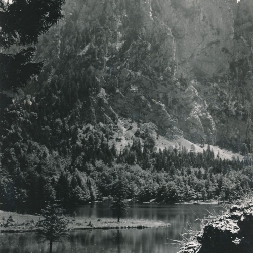 AK vom Laudachsee mit Katzenstein Oberösterreich Ansichtskarte (15481)