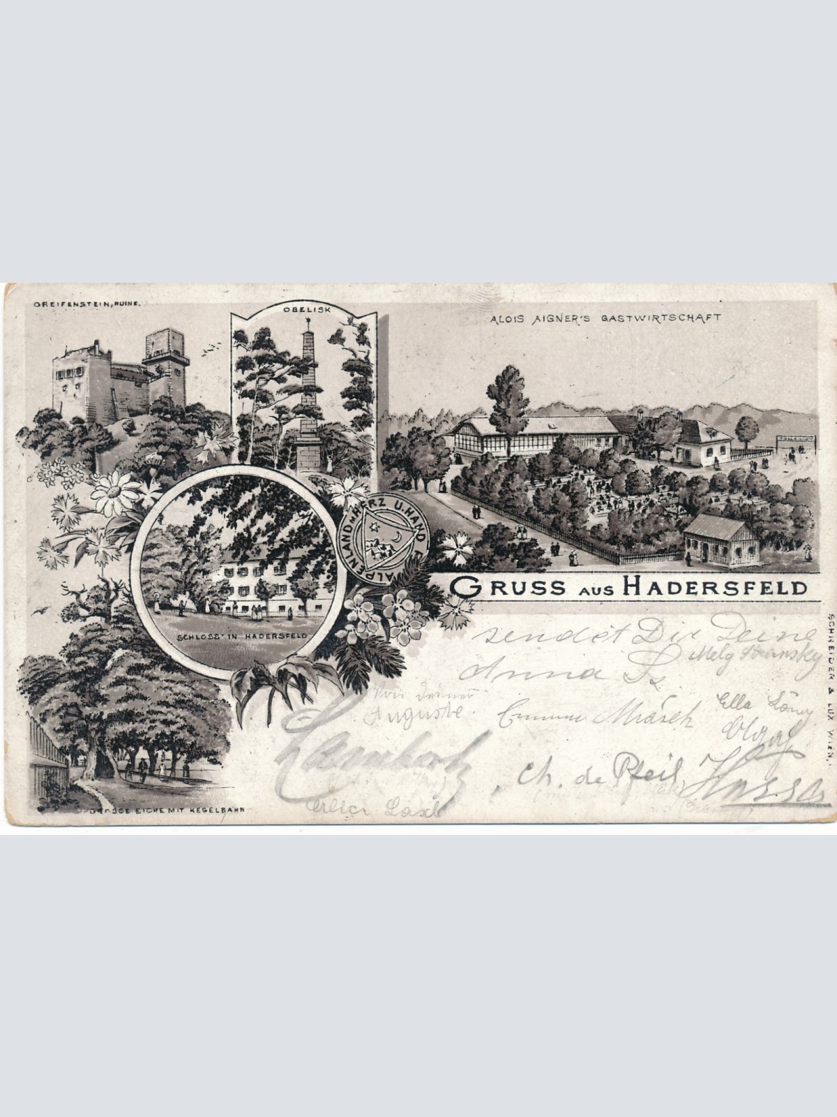 Litho - Karte aus Hadersfeld Niederösterreich Ansichtskarte (14752)