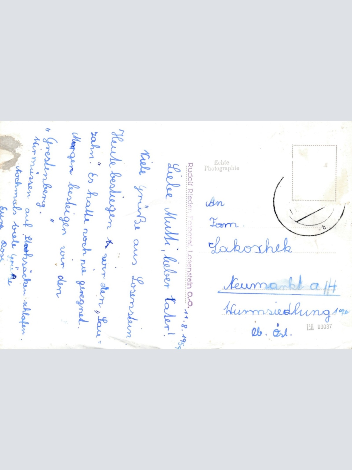 AK aus Losenstein Oberösterreich Ansichtskarte (15568)