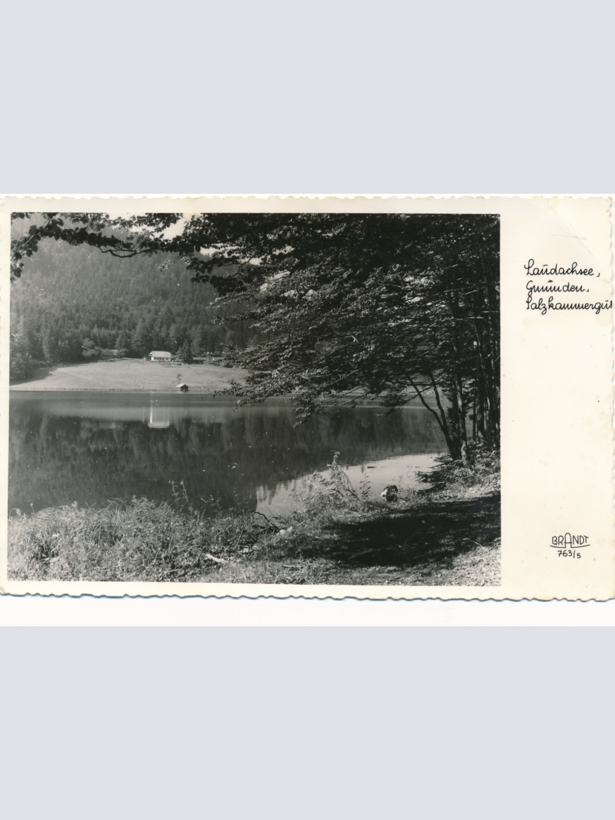 AK vom Laudachsee Oberösterreich Ansichtskarte (15549)