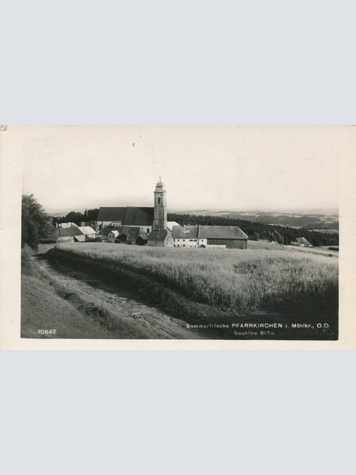 AK aus Pfarrkirchen im Mühlkreis Oberösterreich Ansichtskarte (15559)