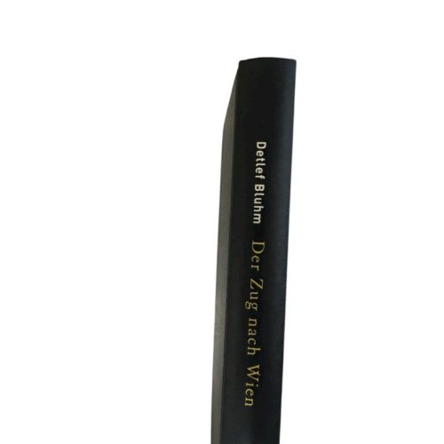 Der Zug nach Wien. Roman Roman Detlef Bluhm: