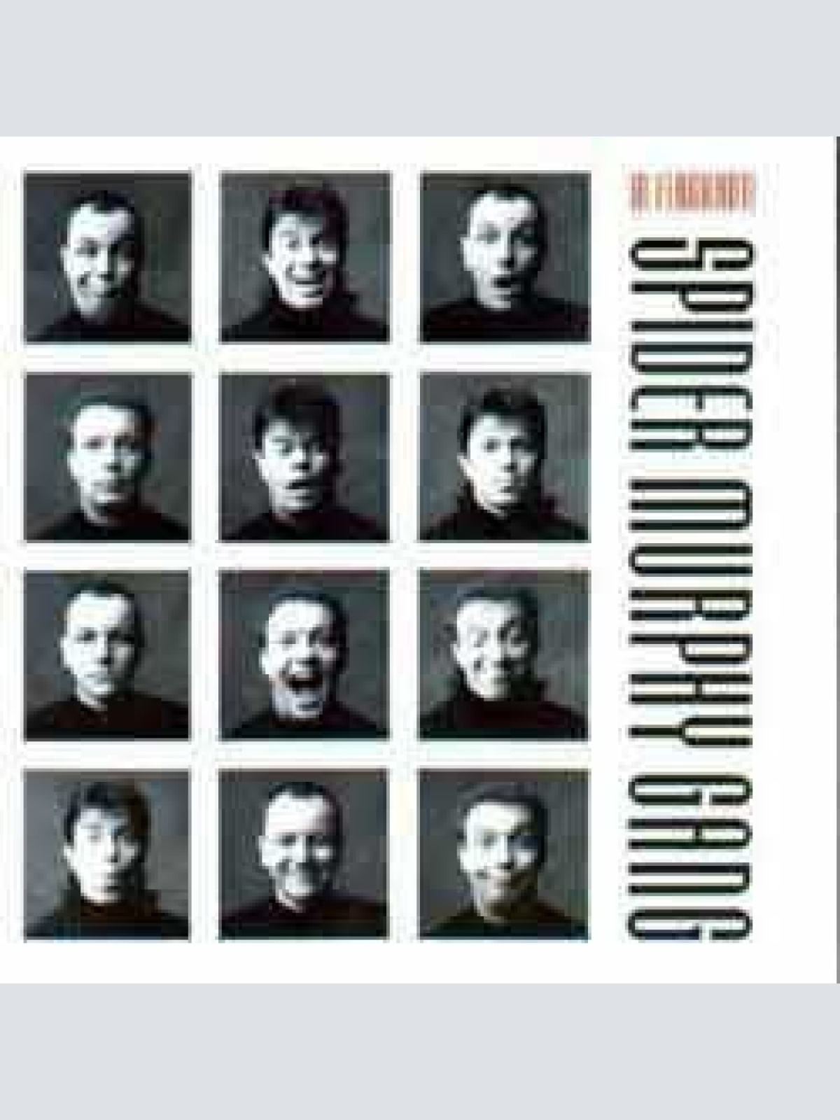 CD Spider Murphy Gang - In Flagranti