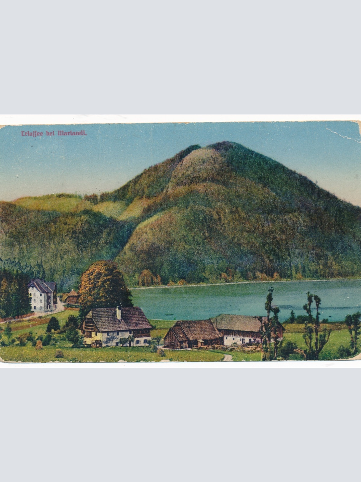 AK vom Erlaufsee bei Mariazell Steiermark Ansichtskarte (16483)