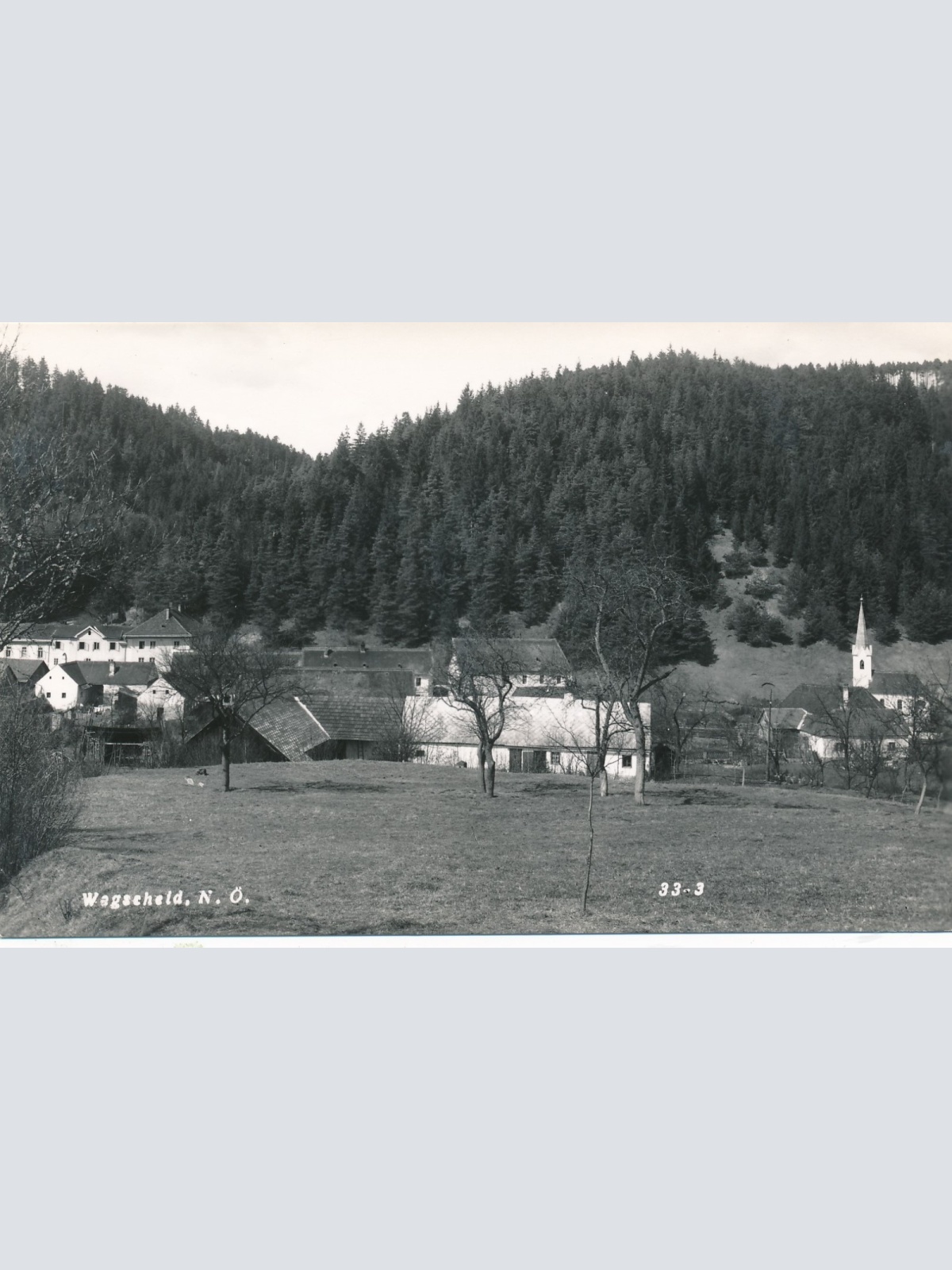 AK aus Wegscheid Niederösterreich Ansichtskarte (16317)