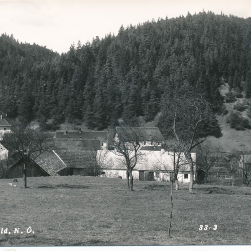 AK aus Wegscheid Niederösterreich Ansichtskarte (16317)