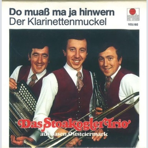 7", Single Das Stoakogler Trio* - Do Muaß Ma Ja Hinwern