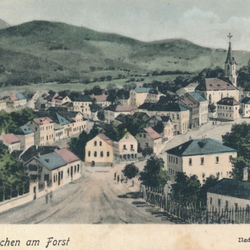 AK aus Steinakirchen am Forst Niederösterreich Ansichtskarte (16303)