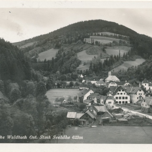 AK aus Waldbach Steiermark Ansichtskarte (16622)
