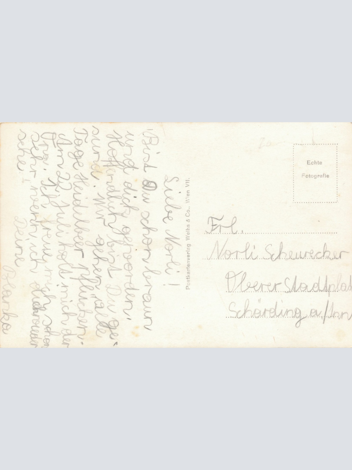 AK aus Natterbach Fliegeraufnahme Oberösterreich Ansichtskarte (16545)