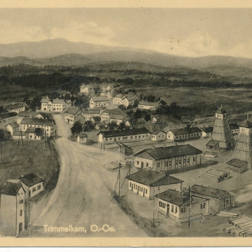 AK aus Trimmelkam Oberösterreich Ansichtskarte (16520)