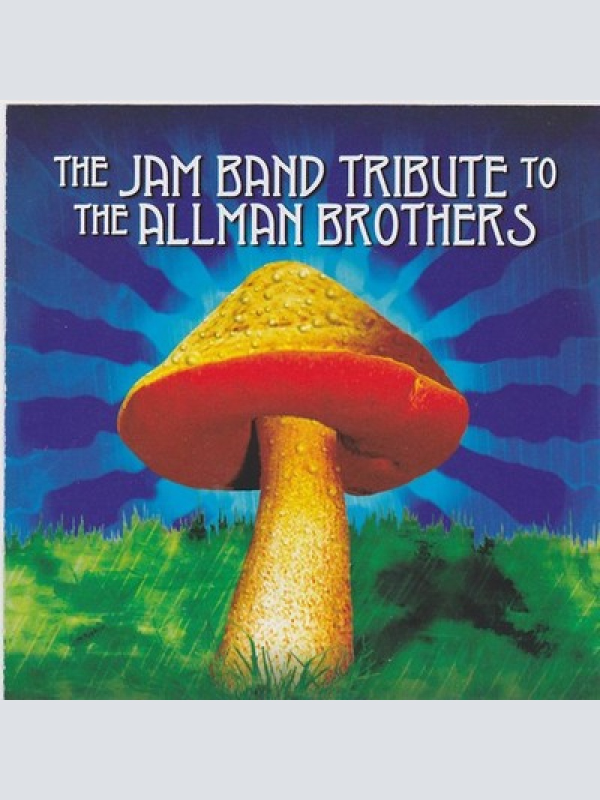 CD, Comp Various - The Jam Band Tribute To The Allman Brothers