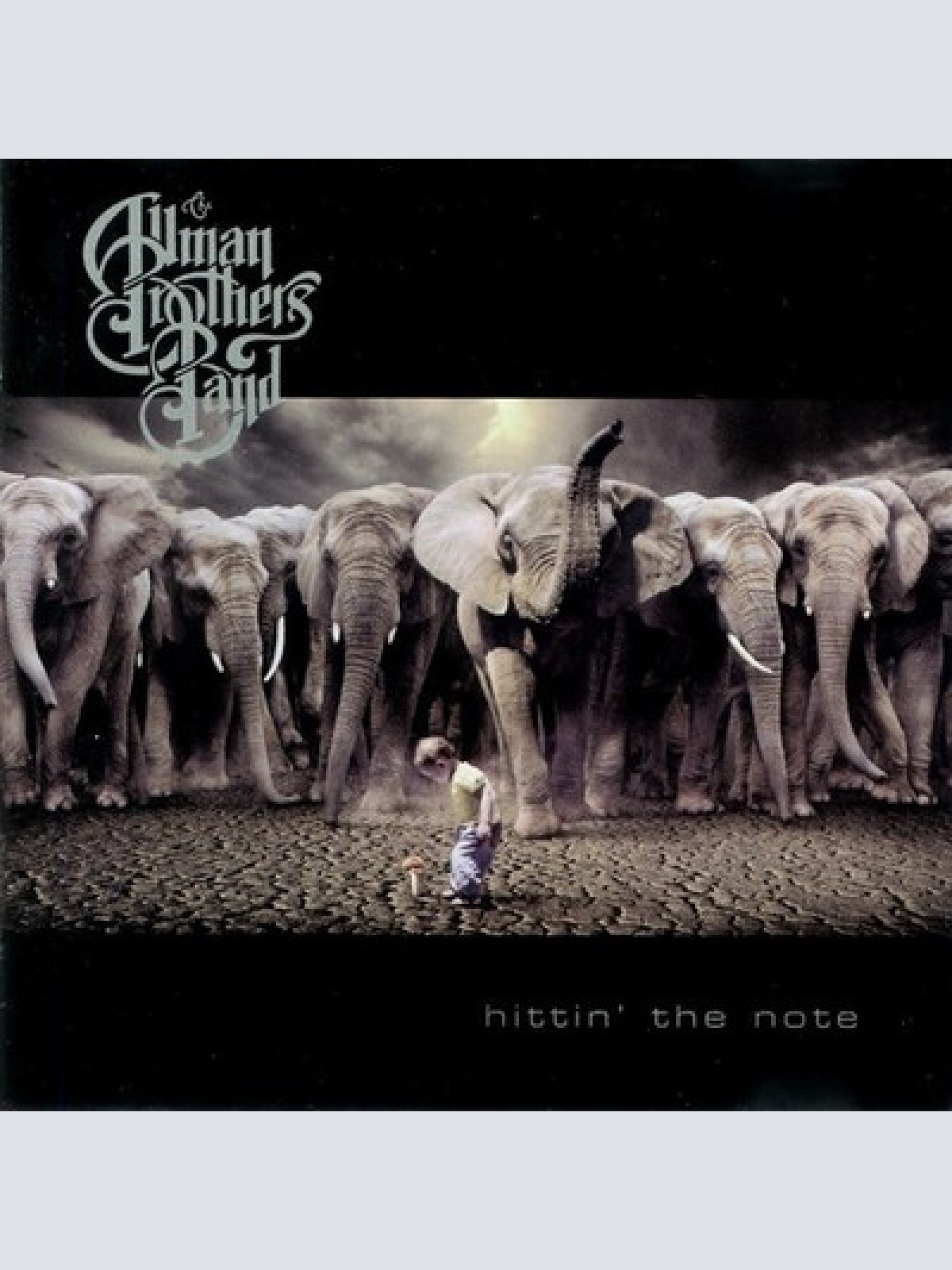 CD, Album The Allman Brothers Band - Hittin' The Note
