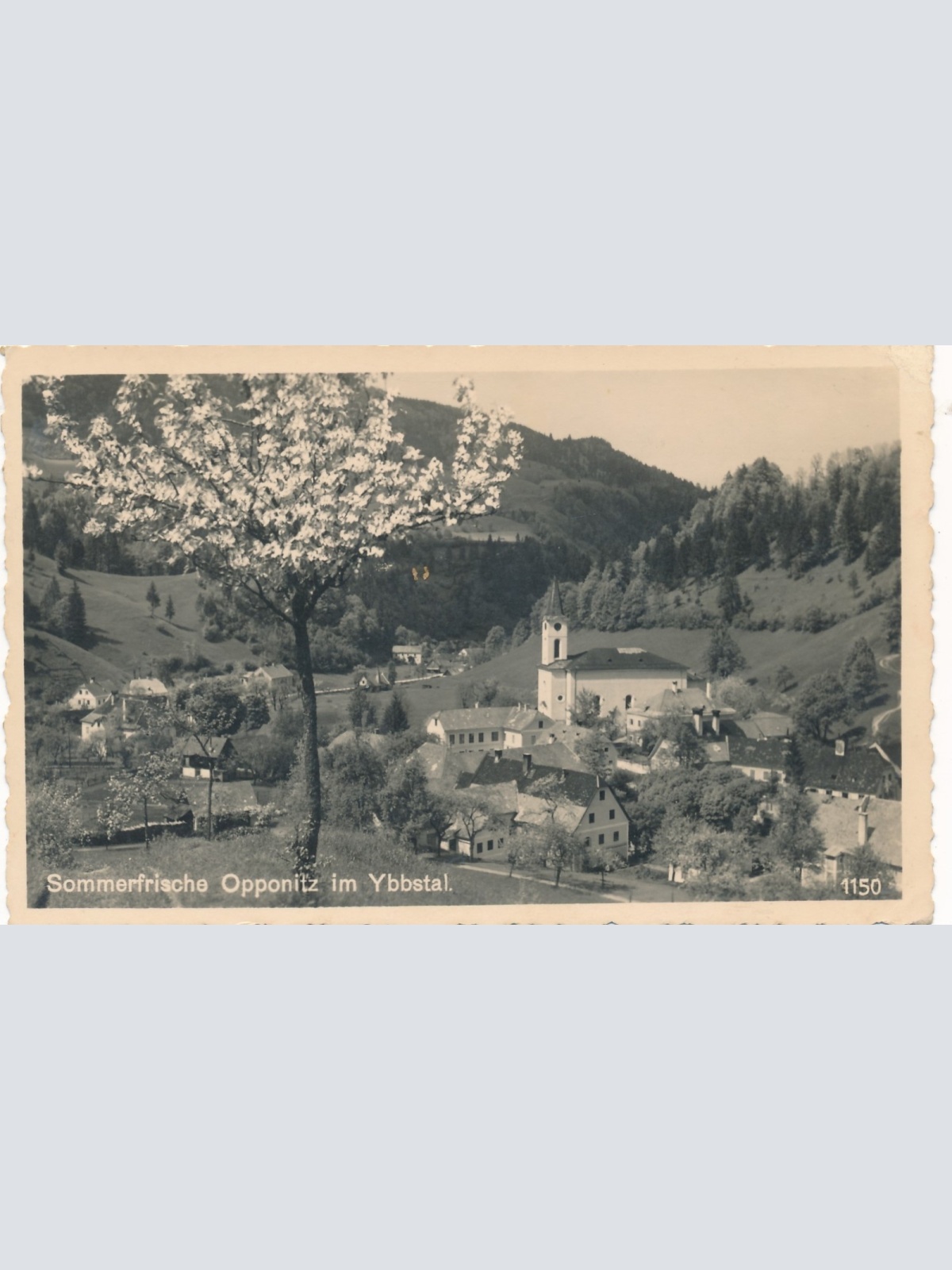 AK aus Opponitz Niederösterreich Ansichtskarte (16832)