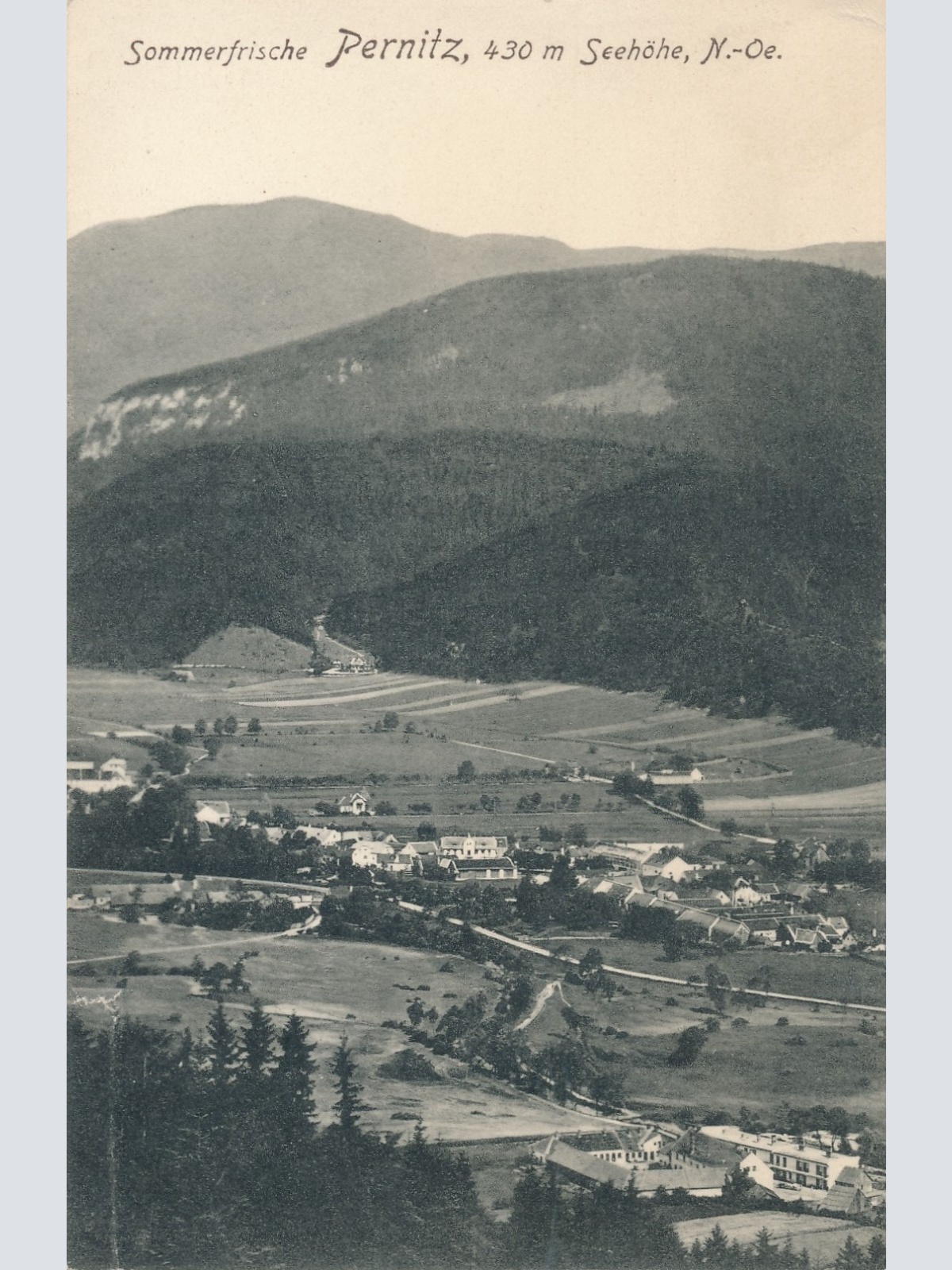 AK aus Pernitz Niederösterreich Ansichtskarte (16802)
