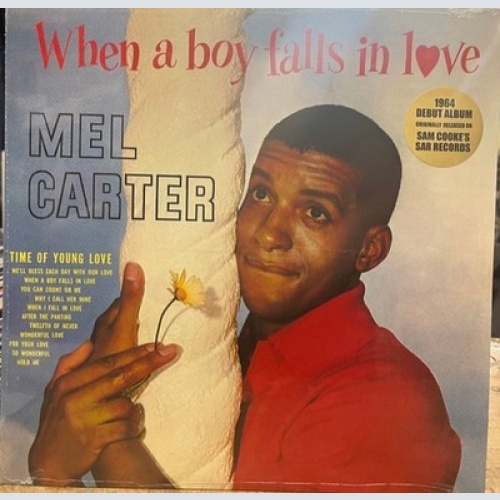 LP, Album, RE Mel Carter - When A Boy Falls In Love