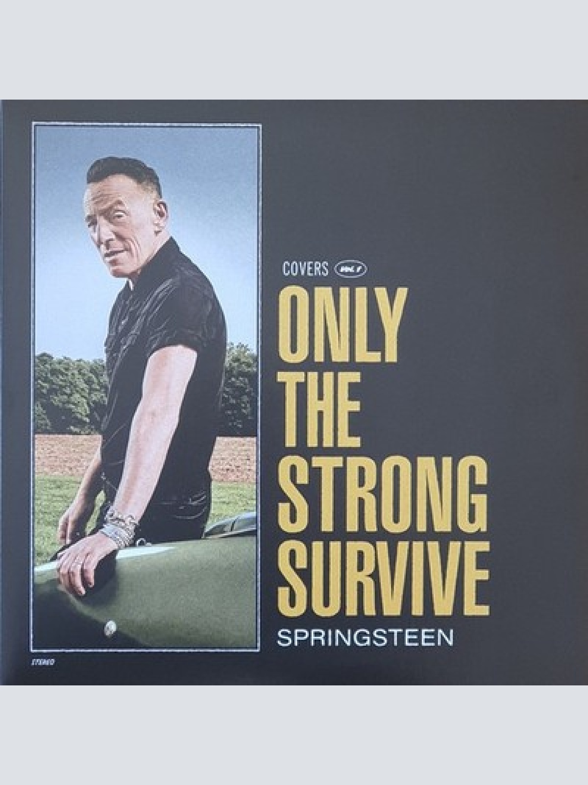LP + LP, S/Sided, Etch + Album, Ltd, Ora Springsteen* - Only The Strong Survi...