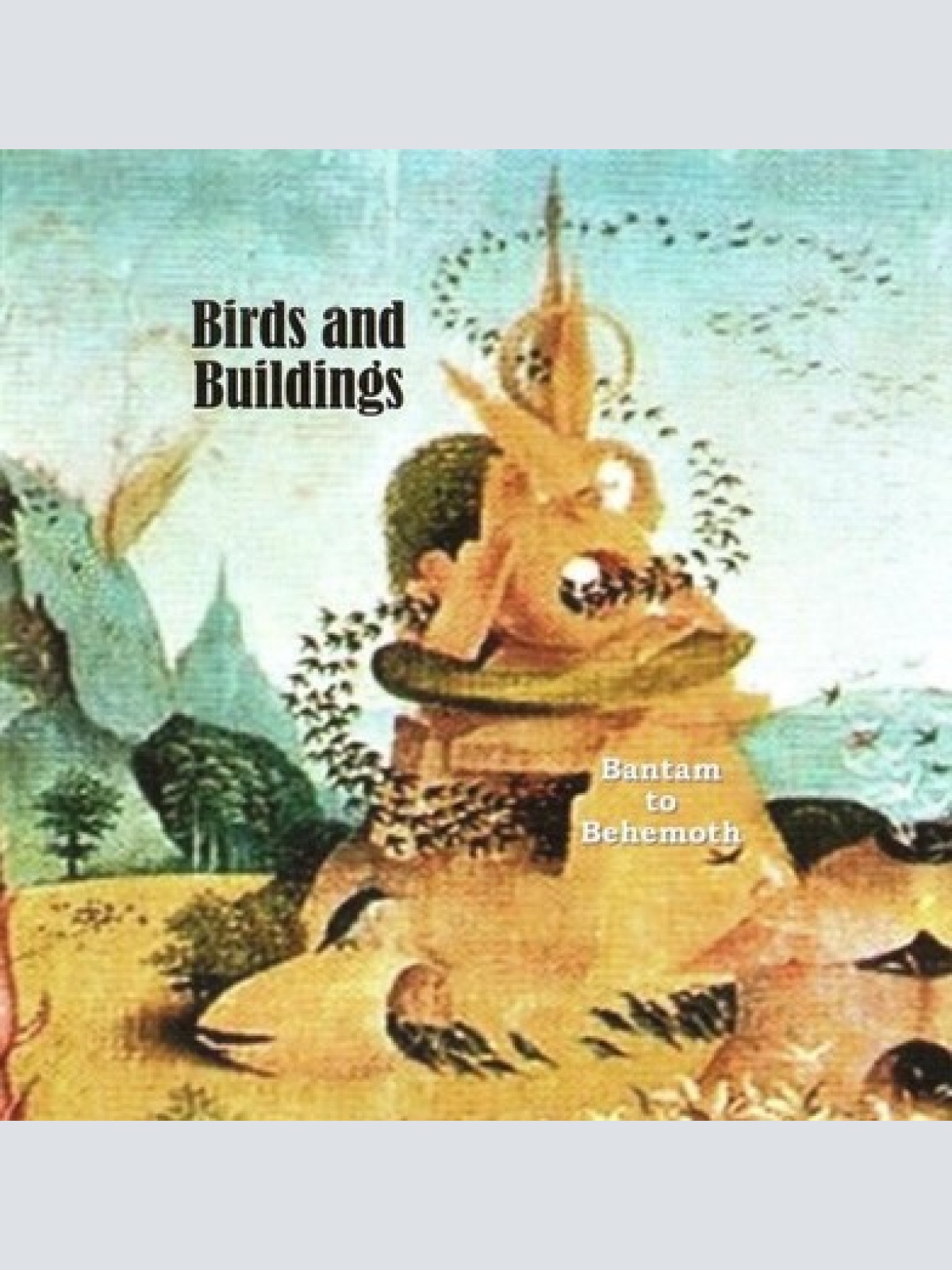 CD, Album Birds And Buildings - Bantam To Behemoth