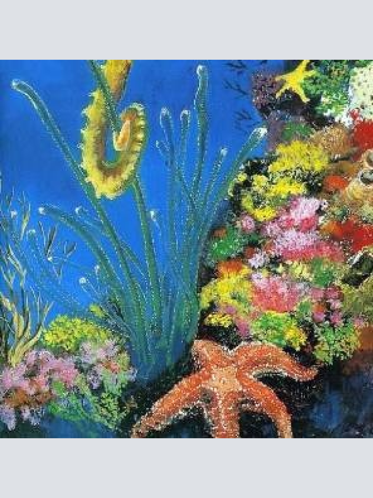 CD, Album ekoostik hookah - Seahorse