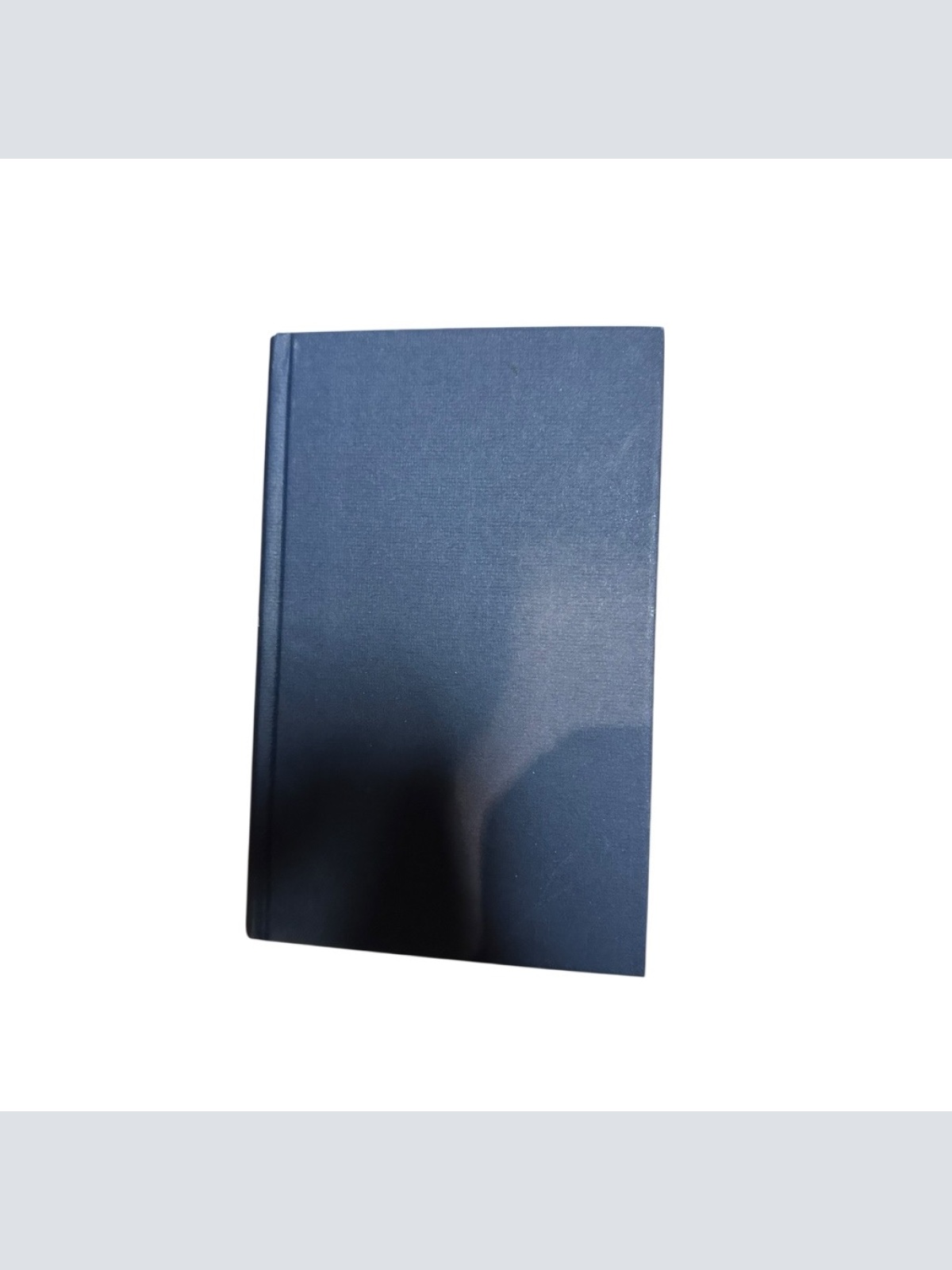 Die Insel des zweiten Gesichts: Aus den angewandten Erinnerungen des Vigoleis au