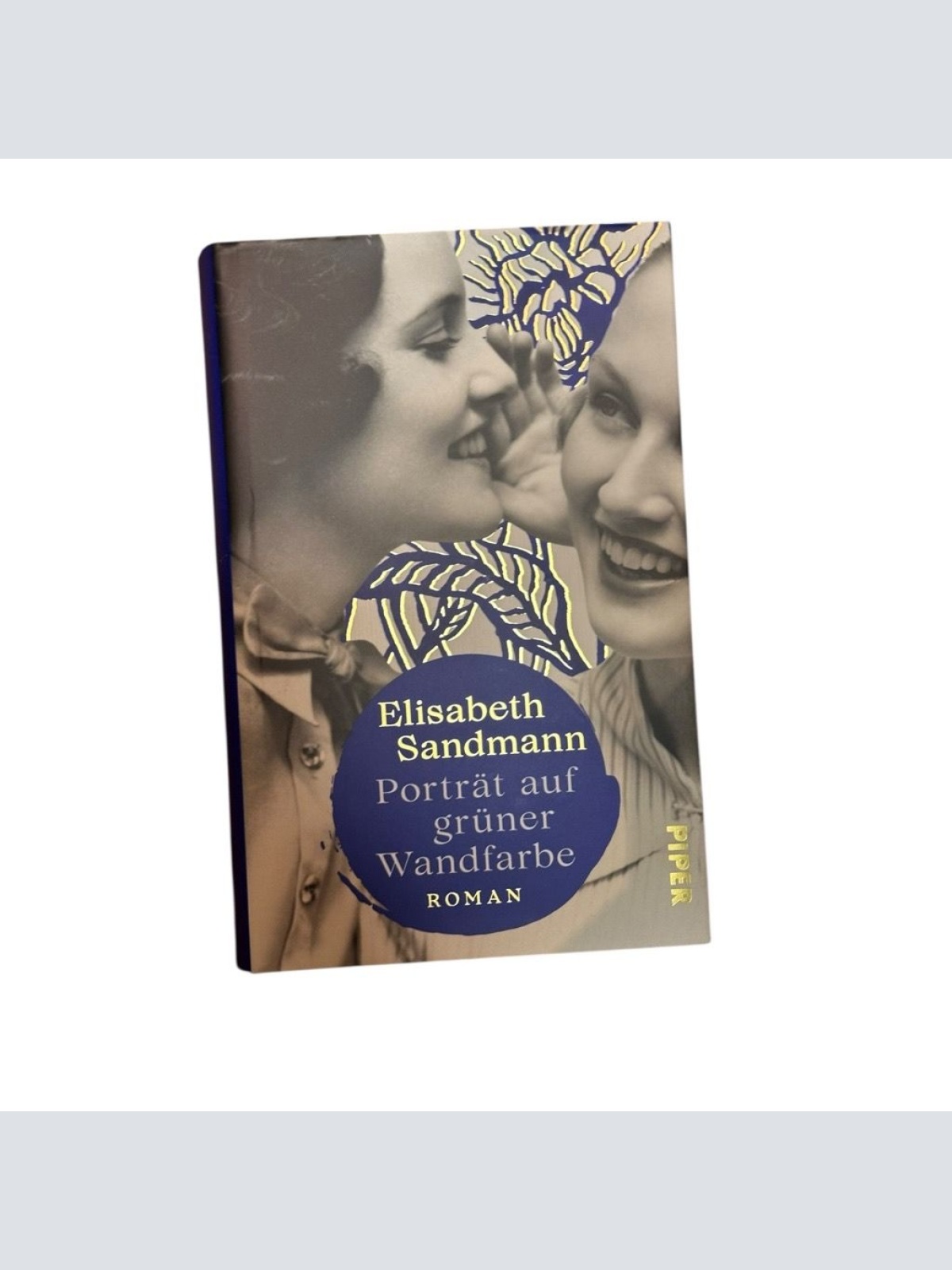 Porträt auf grüner Wandfarbe: Roman | Ein großer Familienroman, ein berührendes