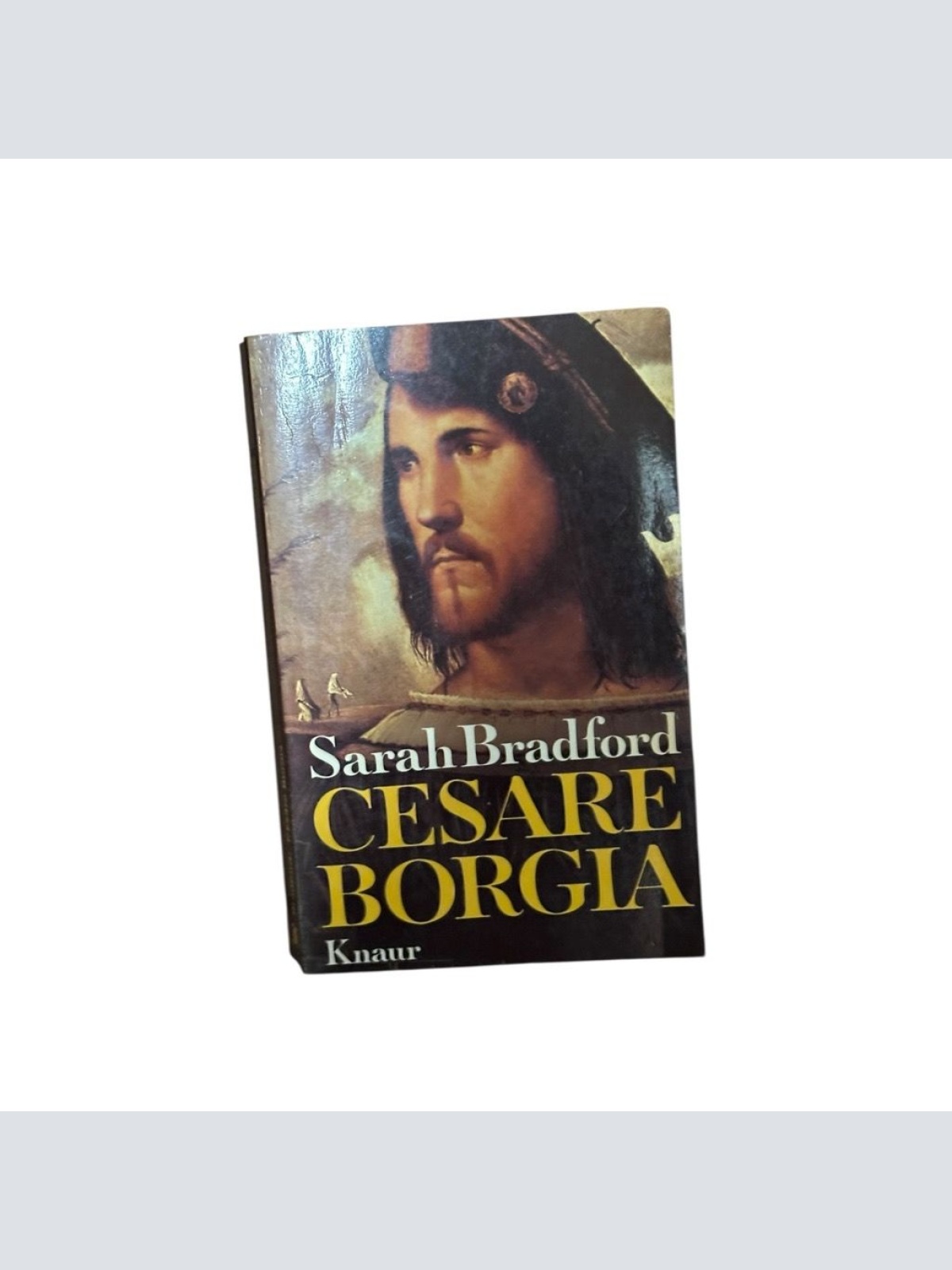 Cesare Borgia. Ein Leben in der Renaissance. e. Leben in d. Renaissance Bradford