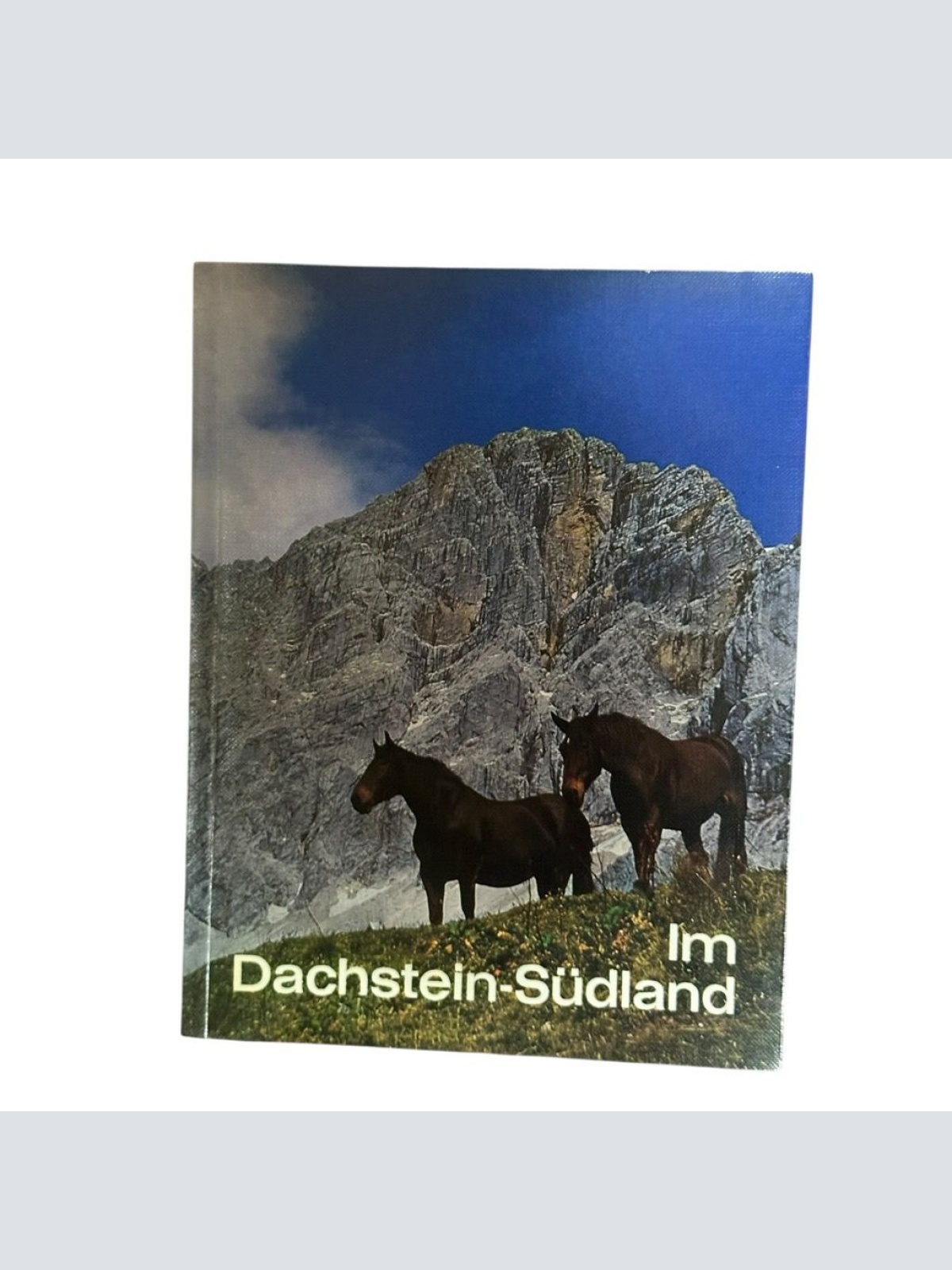 Im Dachstein-Südland. Putz, Erwin: