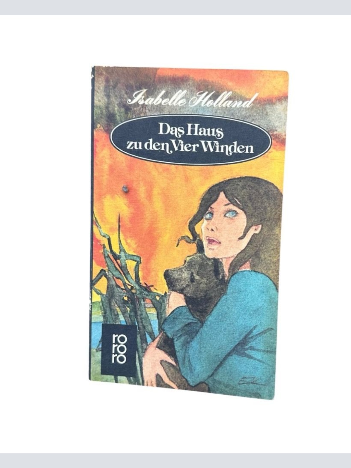 Das Haus zu den vier Winden Roman Holland, Isabelle und Ina Pope: