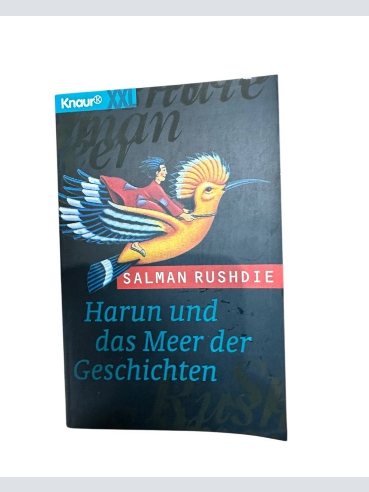 Harun und das Meer der Geschichten (Knaur Taschenbücher. Romane, Erzählungen) Sa