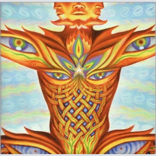 CD, Album The String Cheese Incident - Untying The Not