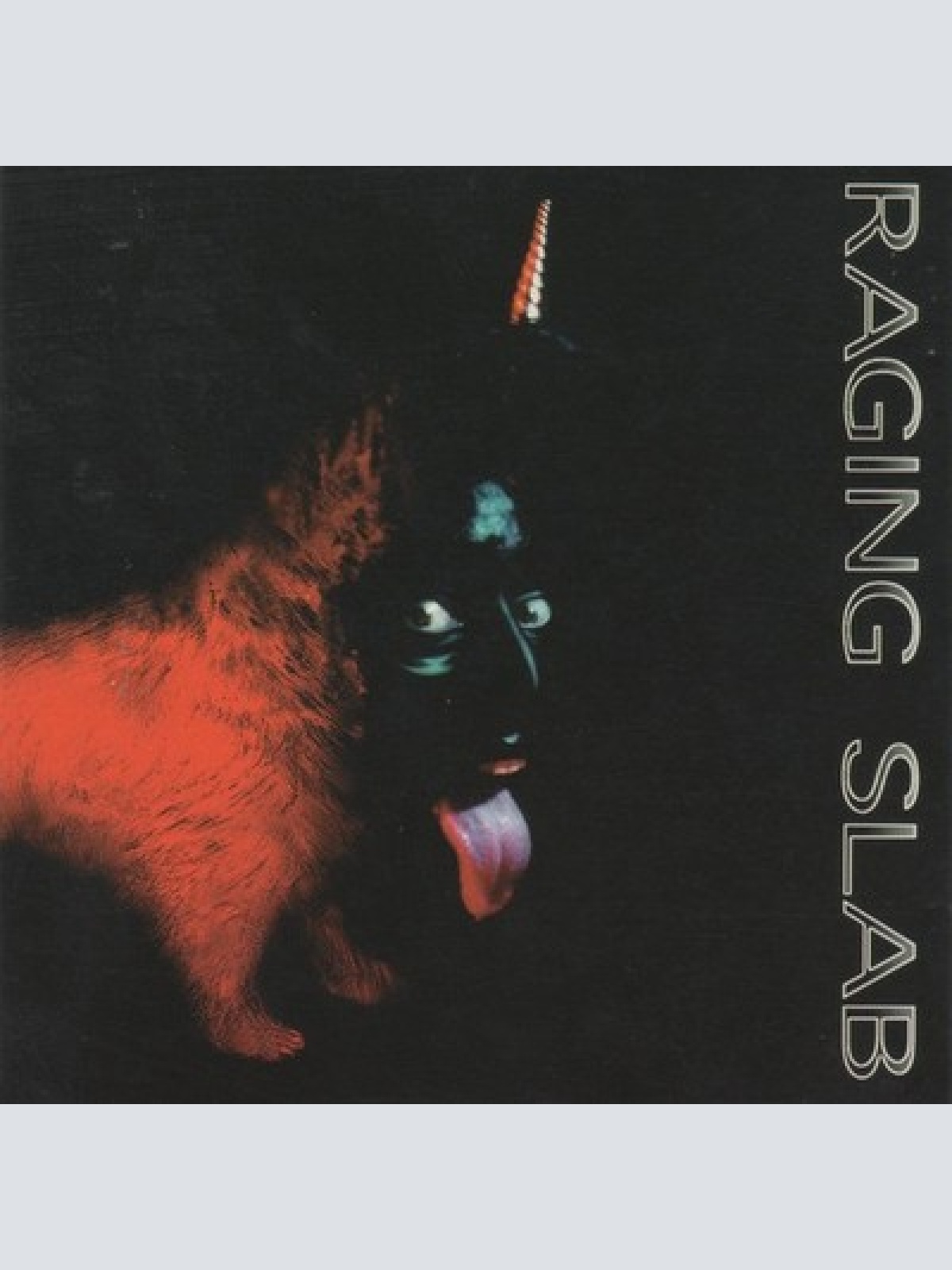 CD, Album Raging Slab - Sing Monkey Sing