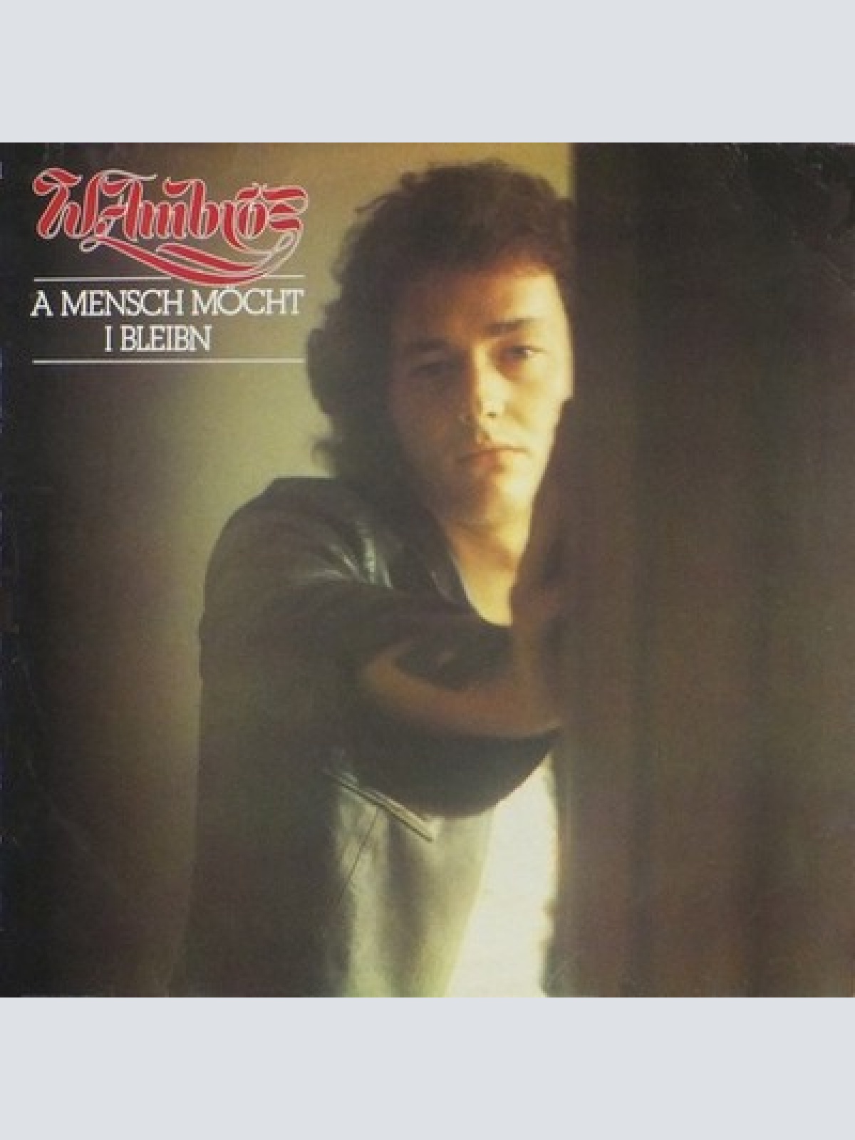 LP, Comp W. Ambros* - A Mensch Möcht I Bleibn