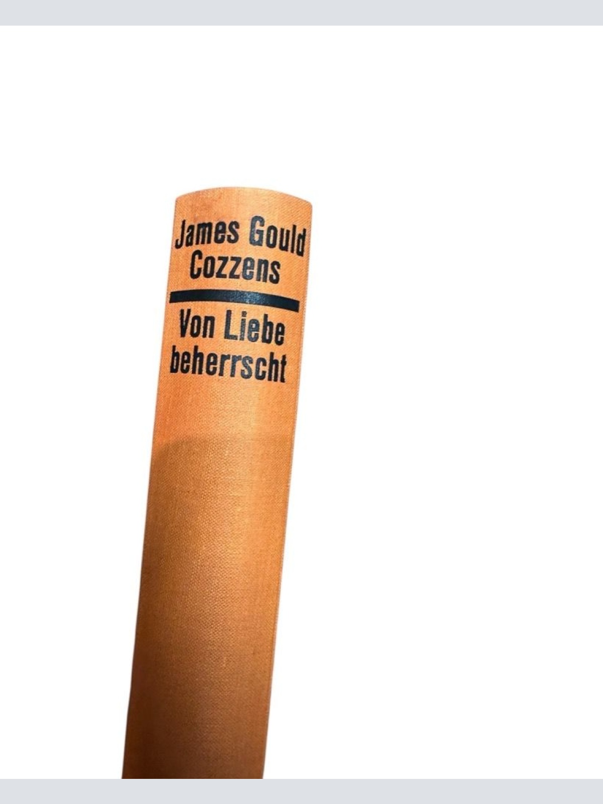 Der Titan Janetschek Ottokar: