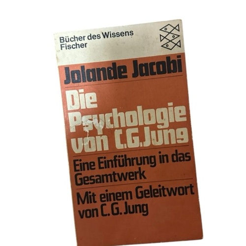 Die Psychologie von C. G. Jung: Eine Einführung in das Gesamtwerk (Fischer Philo