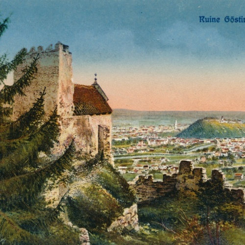 AK aus Graz Steiermark Ansichtskarte (17217)