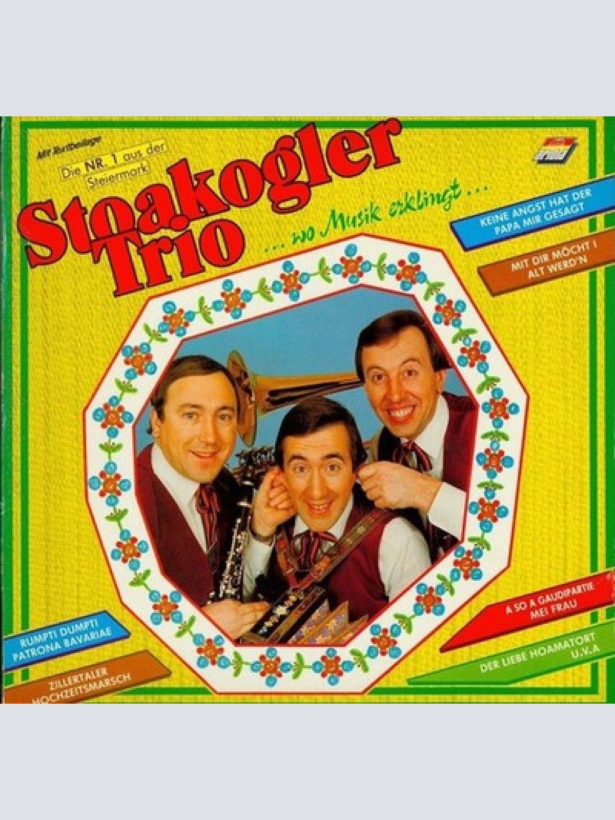 CD, Album Stoakogler Trio - Wo Musik Erklingt