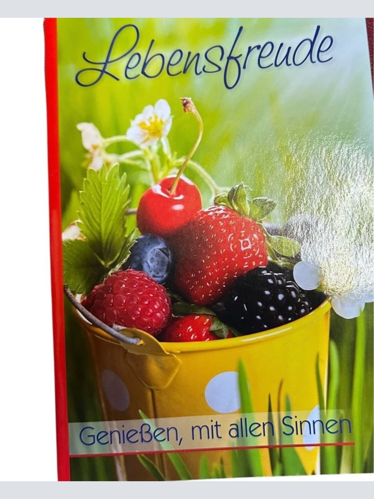 [Lebensfreude] ; Lebensfreude : genießen, mit allen Sinnen Autorin und Herausgeb