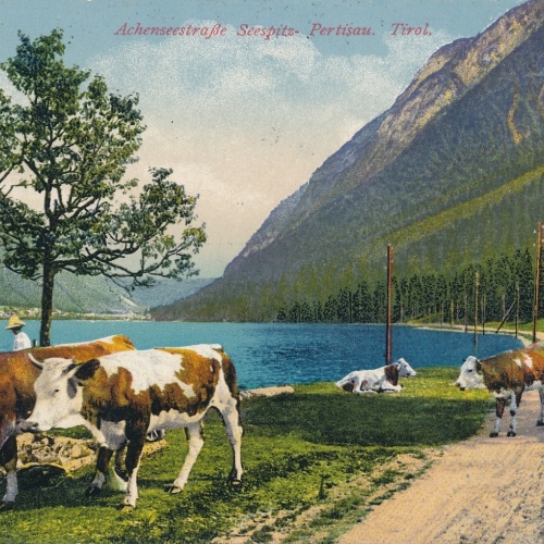 AK aus Pertisau Tirol Ansichtskarte (17384)