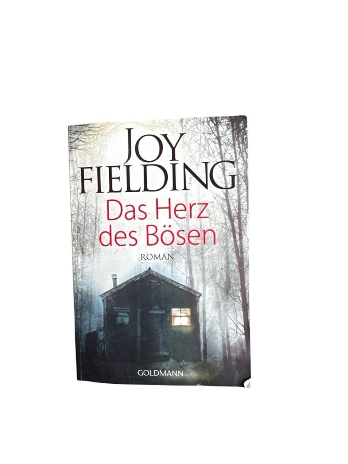 Das Herz des Bösen : Roman Joy Fielding. Dt. von Kristian Lutze Fielding, Joy un