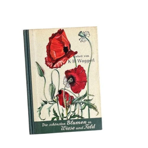 Die schönsten Blumen in Wiese und Feld Geleit von Karl Heinrich Waggerl. Aquarel