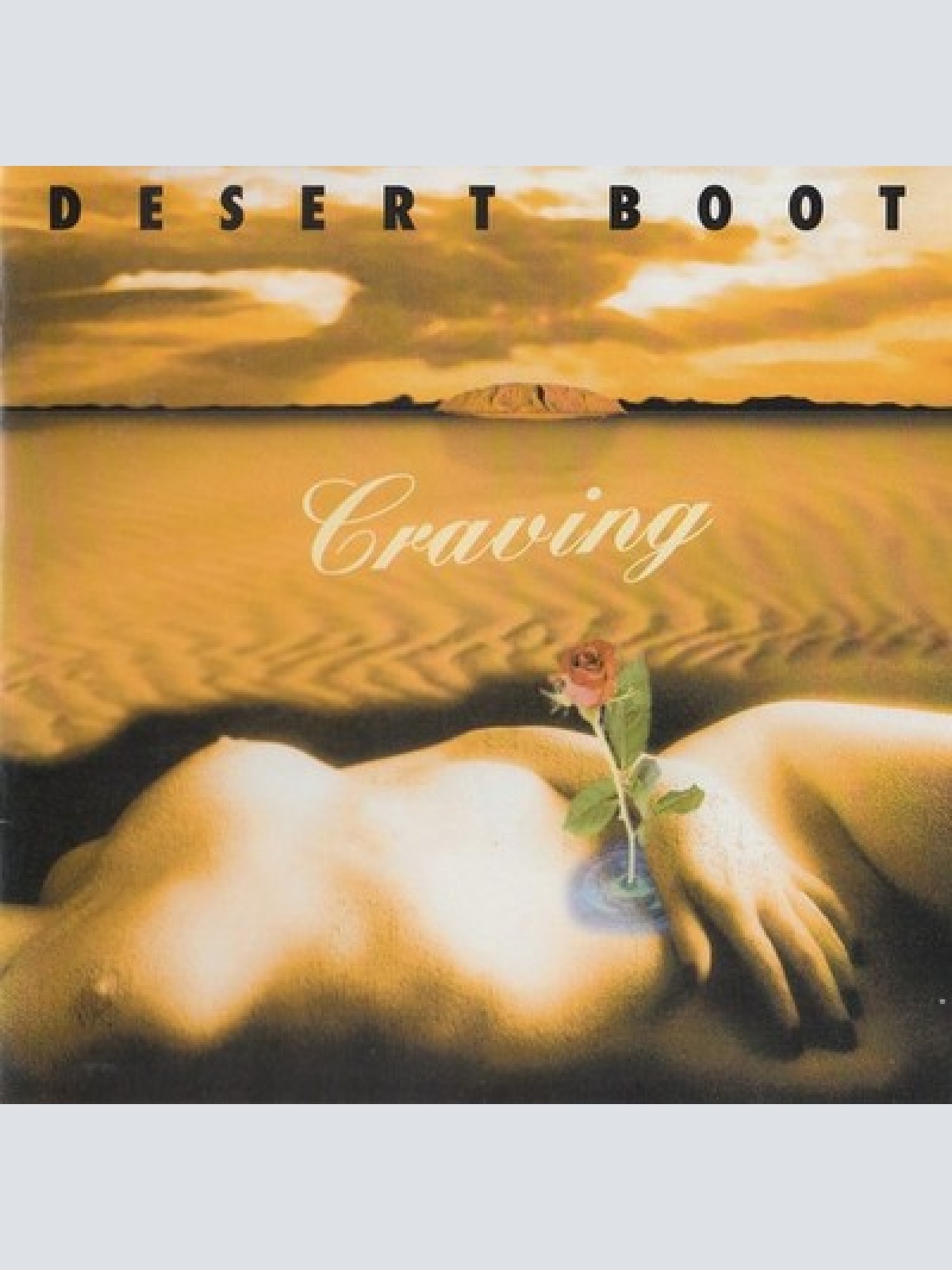 CD, Album Desert Boot - Craving
