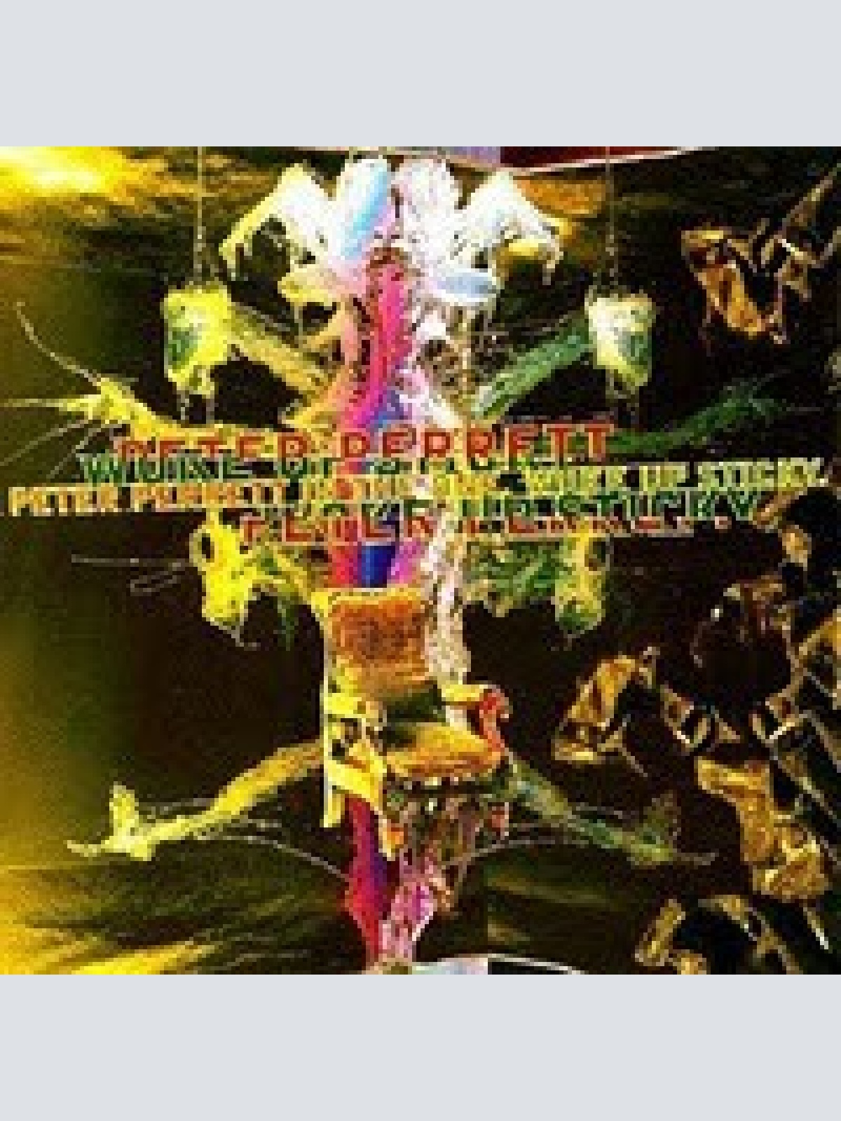 CD, Album Peter Perrett In The One (2) - Woke Up Sticky