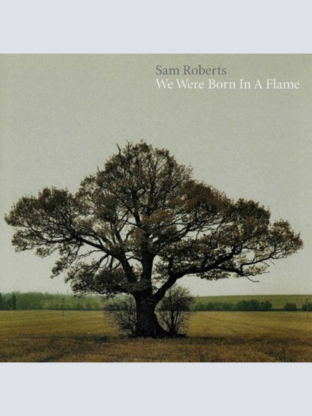CD, Album Sam Roberts - We Were Born In A Flame