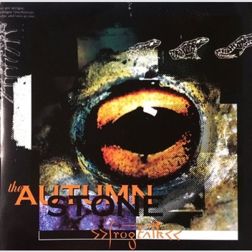 CD The Autumn Stone - Frogtalk