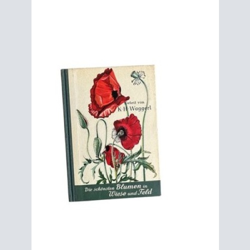 Die schönsten Blumen in Wiese und Feld Geleit von Karl Heinrich Waggerl. Aquarel