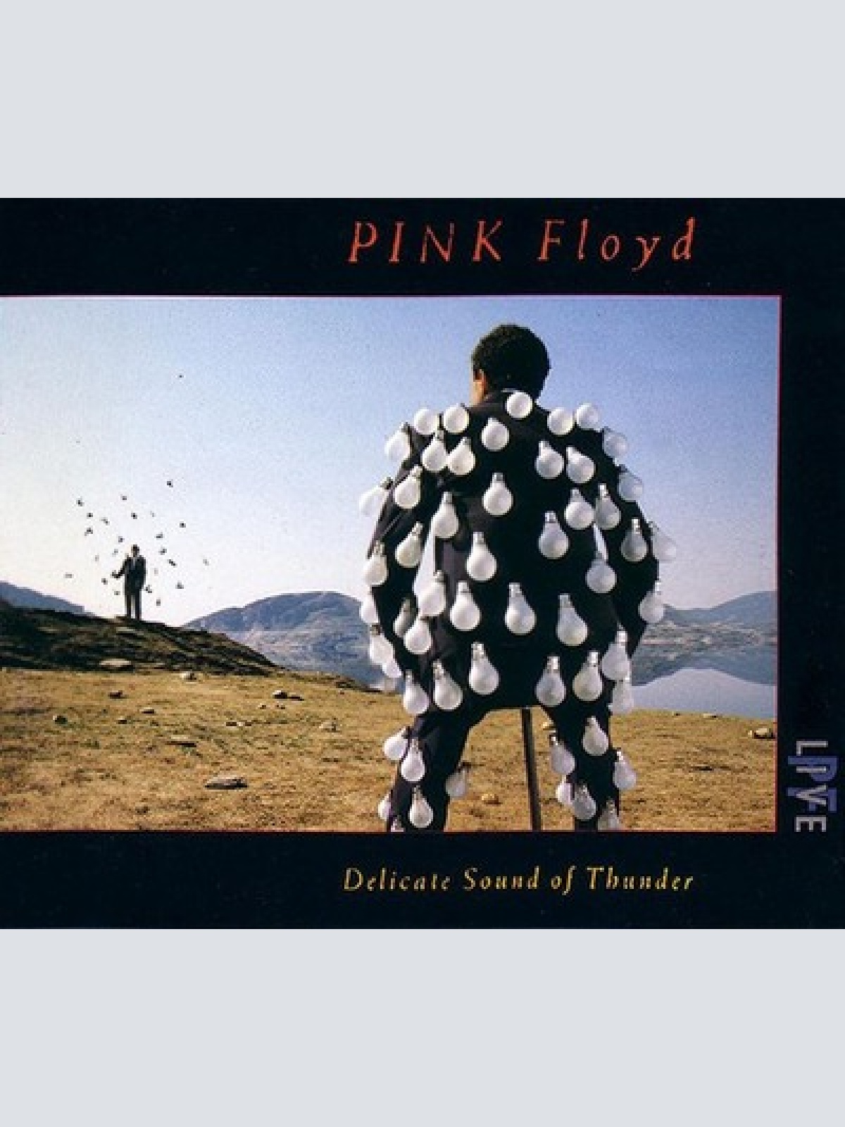 2xCD, Album, EMI Pink Floyd - Delicate Sound Of Thunder