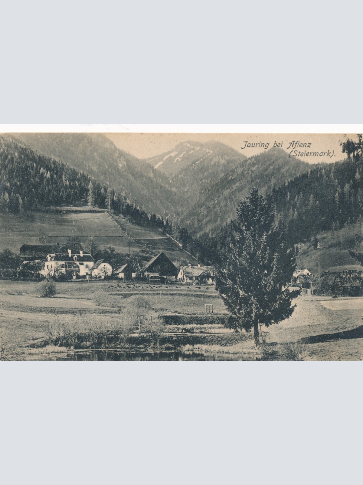 AK aus Jauring bei Aflenz Steiermark Ansichtskarte (18120)