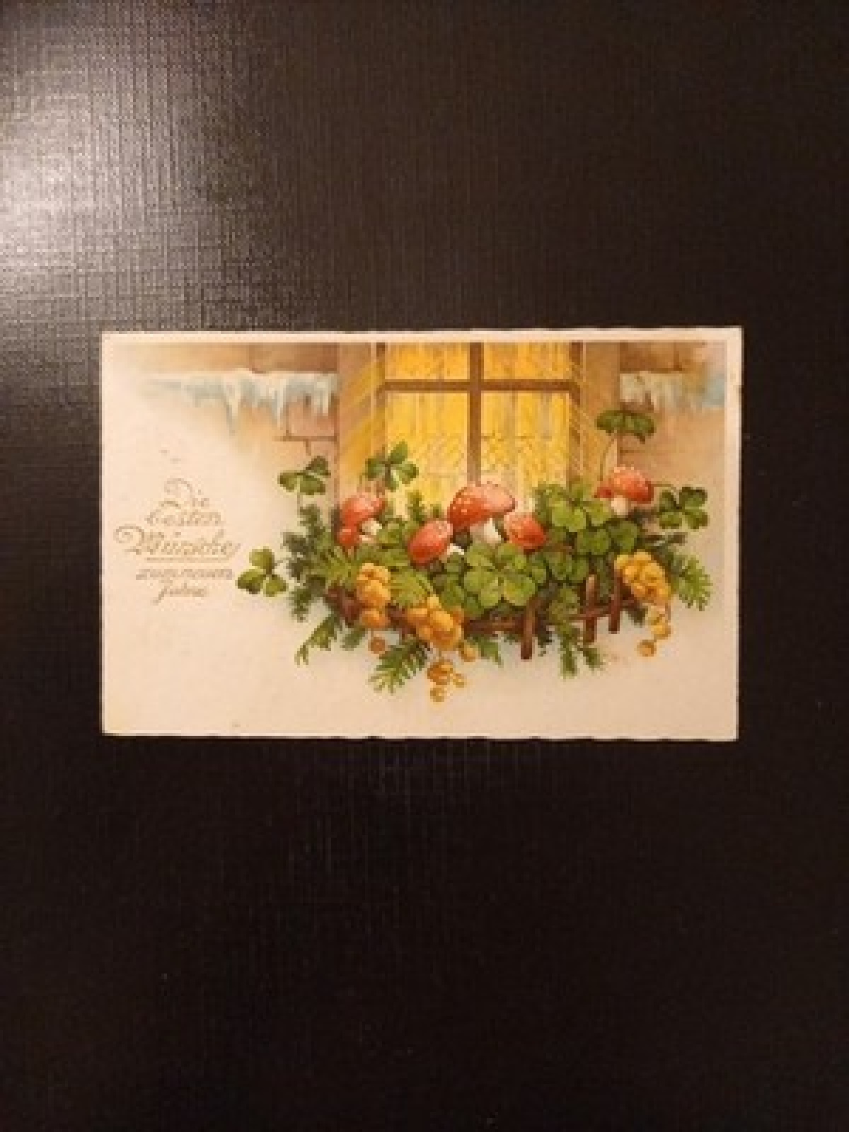 Klee Schwammerl Die Besten Wünsche 42104 Gr