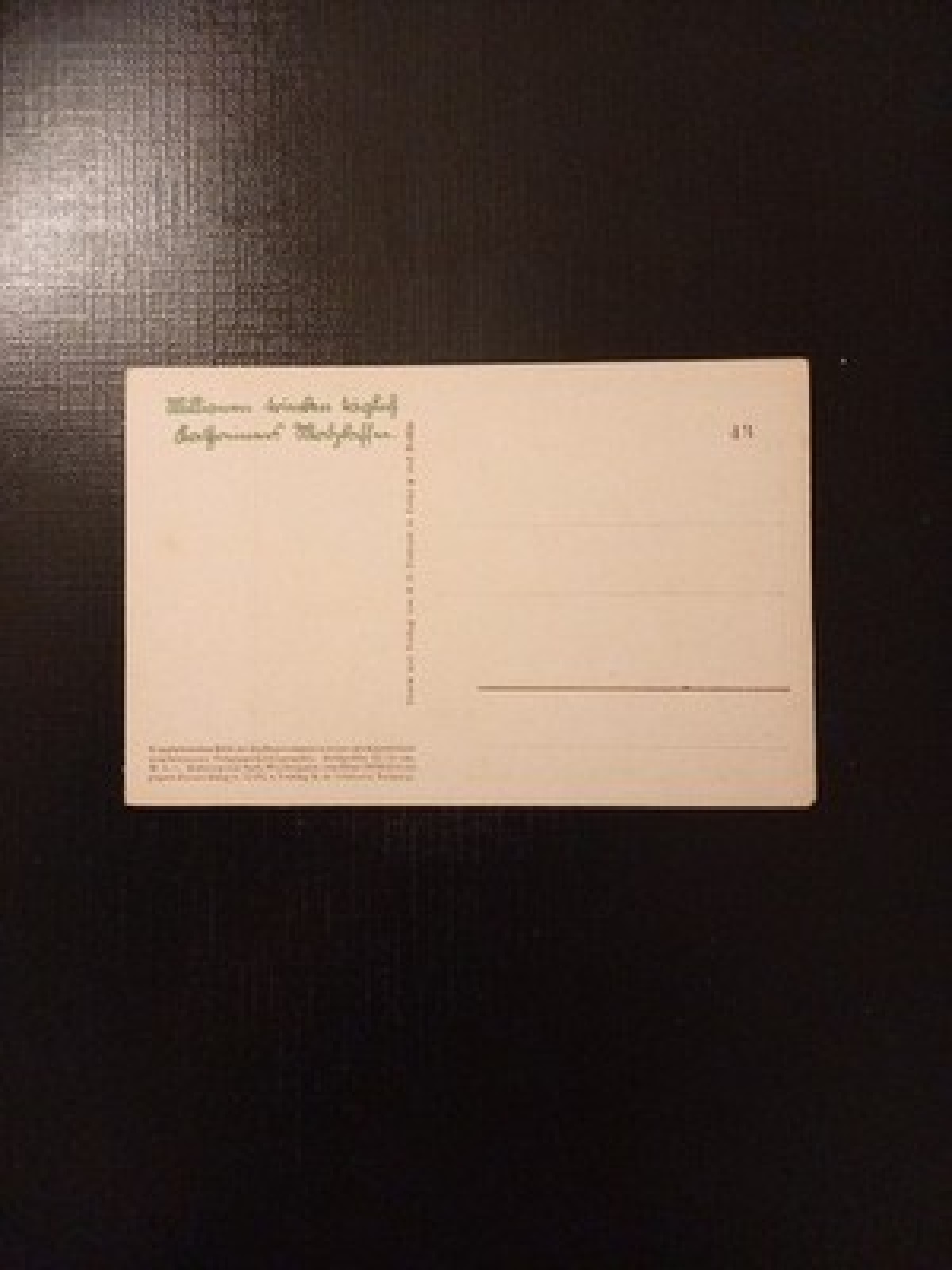 Eichrodt Säemann 110049 Gr